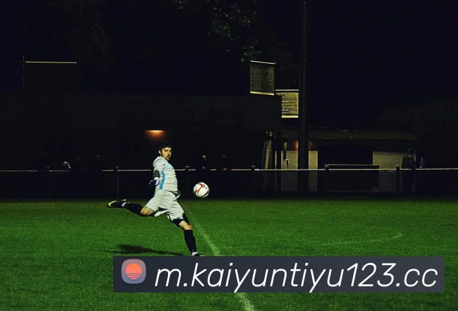 App Interface Preview
